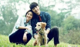 姿态爆料大狗视频大全播放,姿态爆料，萌宠瞬间引爆网络