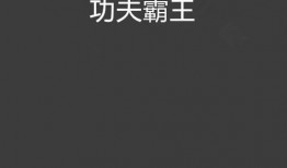 功夫霸王在线观看,在线观看，领略中华武术之魂